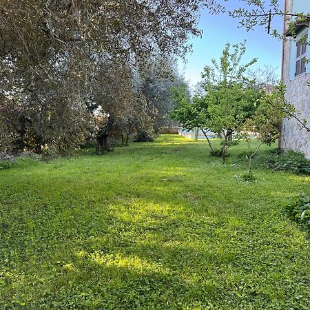 Villa La Piccola Provenza Fiano Romano Esterno foto