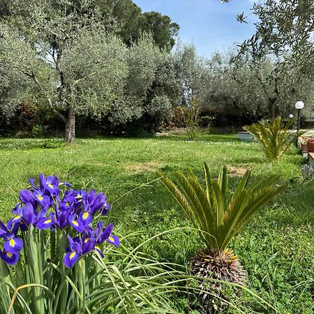 Villa La Piccola Provenza Fiano Romano Esterno foto