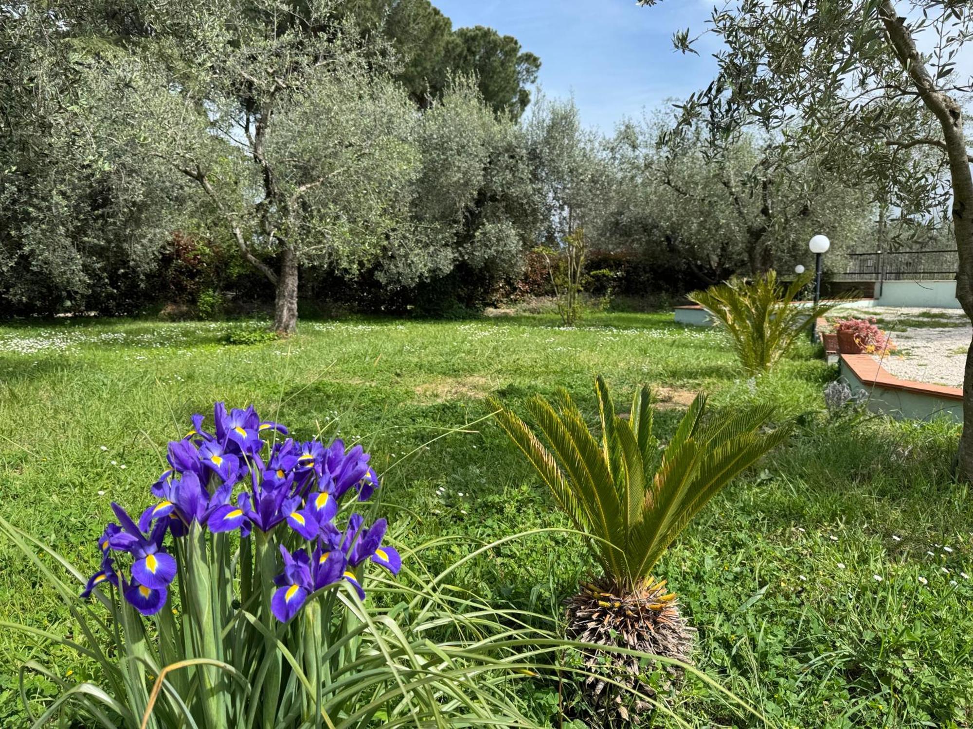 Villa La Piccola Provenza Fiano Romano Esterno foto